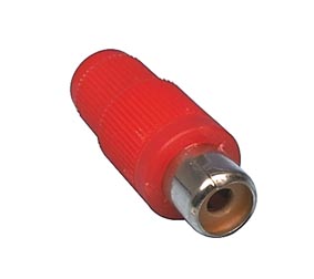 Image of CONN 2067