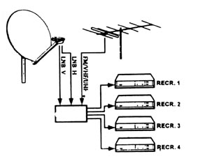Image of 27966