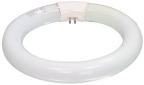 Image of MAGNIF-LAMP